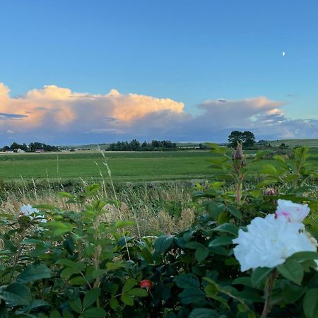 Vila Aengahuset Glemminge Exteriér fotografie