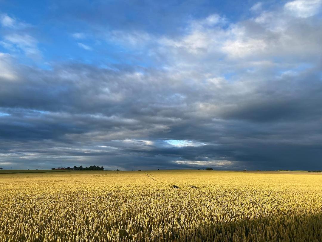 Vila Aengahuset Glemminge Exteriér fotografie