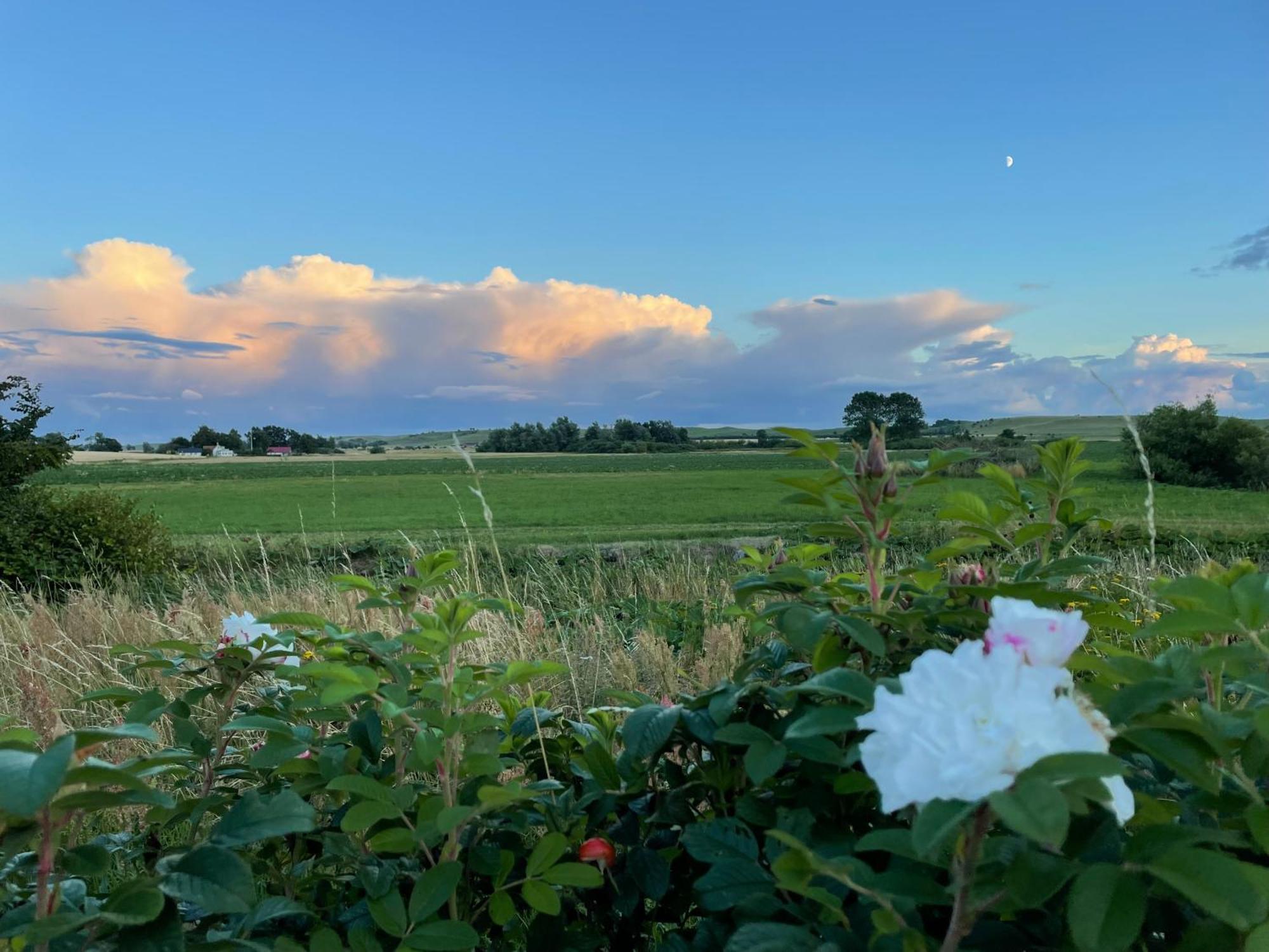 Vila Aengahuset Glemminge Exteriér fotografie