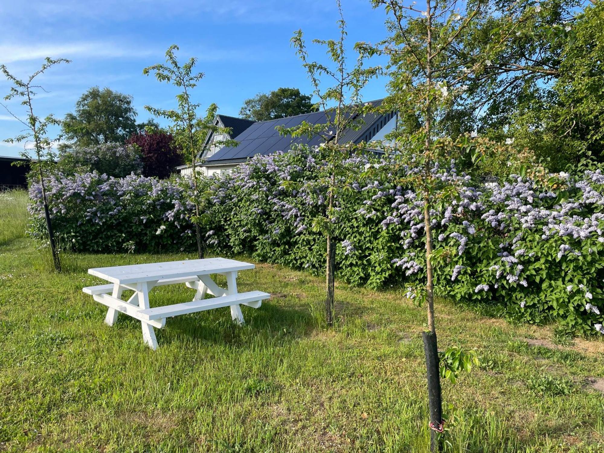 Vila Aengahuset Glemminge Exteriér fotografie